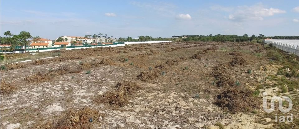 Terrain à A dos Cunhados e Maceira de 40 000 m²