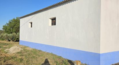 Boutique/Local commercial à Vidigueira de 181 m²