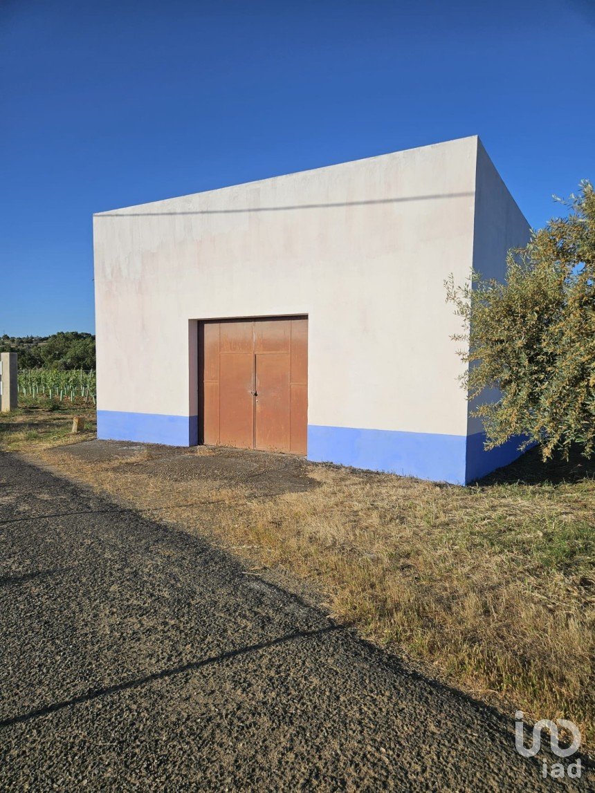 Boutique/Local commercial à Vidigueira de 181 m²