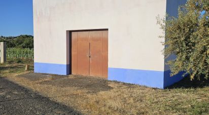 Boutique/Local commercial à Vidigueira de 181 m²