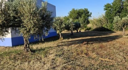 Boutique/Local commercial à Vidigueira de 181 m²