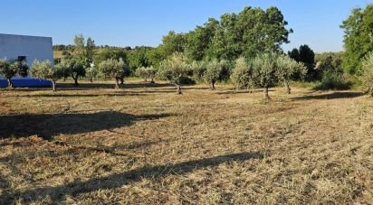 Boutique/Local commercial à Vidigueira de 181 m²