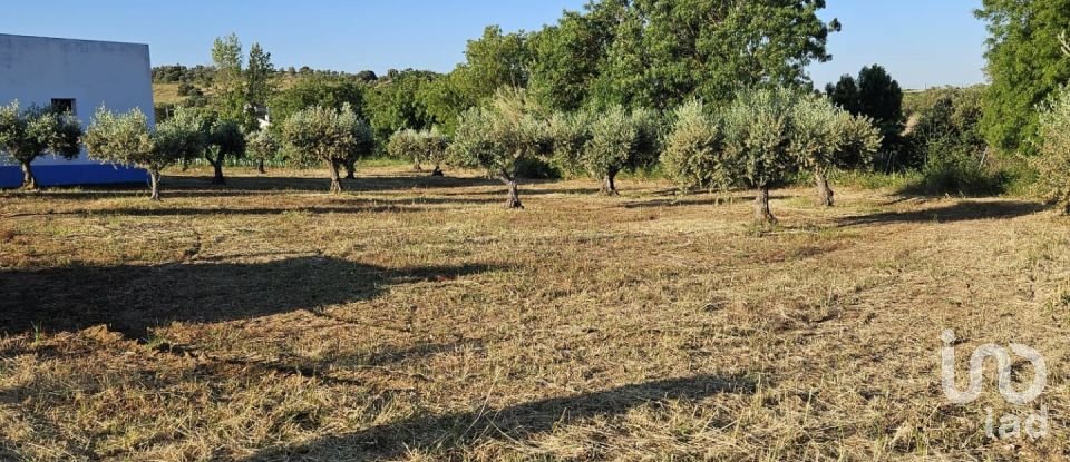 Boutique/Local commercial à Vidigueira de 181 m²