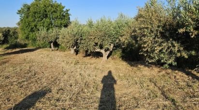 Boutique/Local commercial à Vidigueira de 181 m²