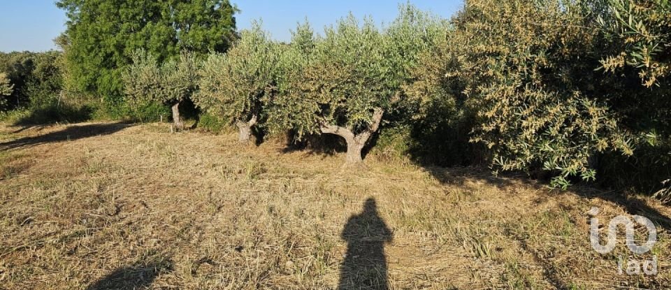 Boutique/Local commercial à Vidigueira de 181 m²