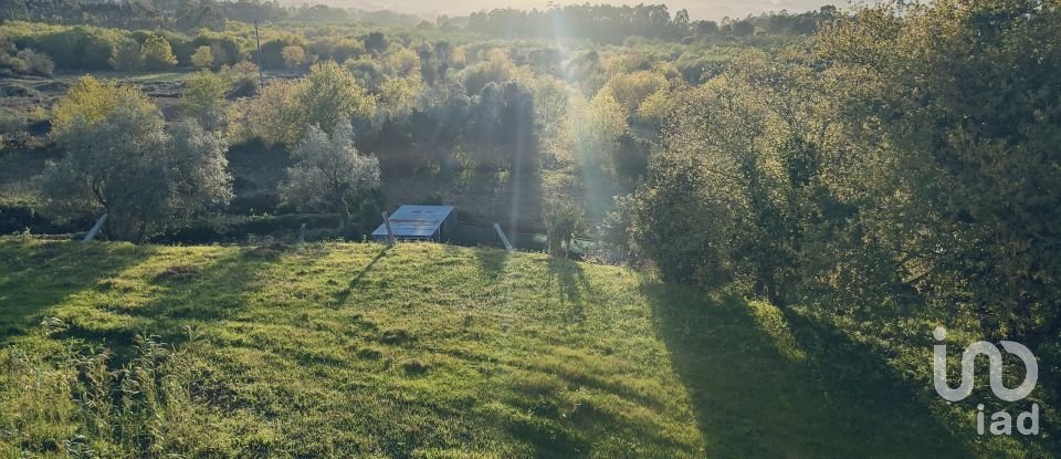 Moradia T3 em Gandra e Taião de 250 m²