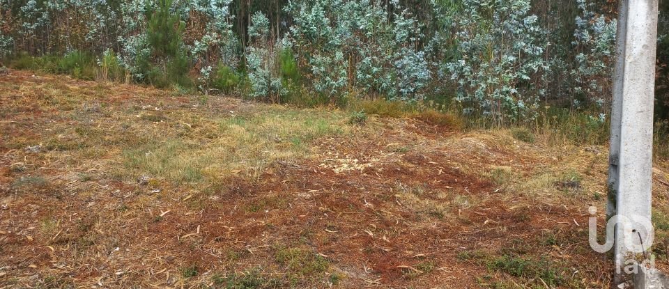 Building plot in Arrabal of 2,635 m²