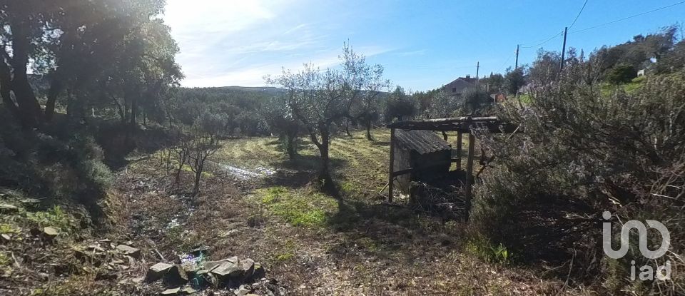 Village house T2 in Pedrógão Pequeno of 84 m²
