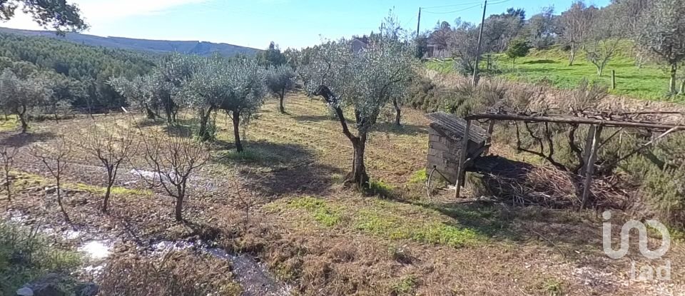Village house T2 in Pedrógão Pequeno of 84 m²