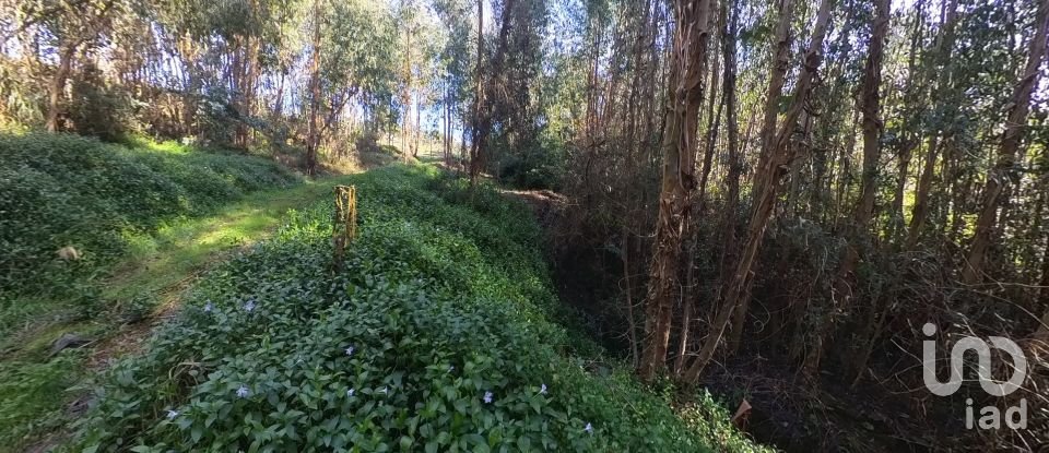 Village house T2 in Pedrógão Pequeno of 84 m²