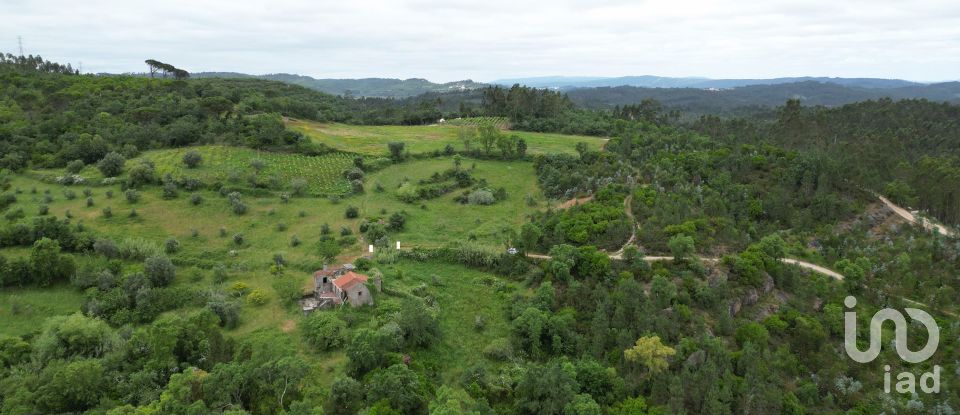Ferme T0 à São Miguel, Santa Eufémia e Rabaçal de 150 m²