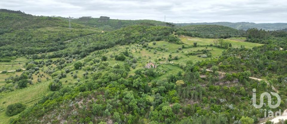 Ferme T0 à São Miguel, Santa Eufémia e Rabaçal de 150 m²