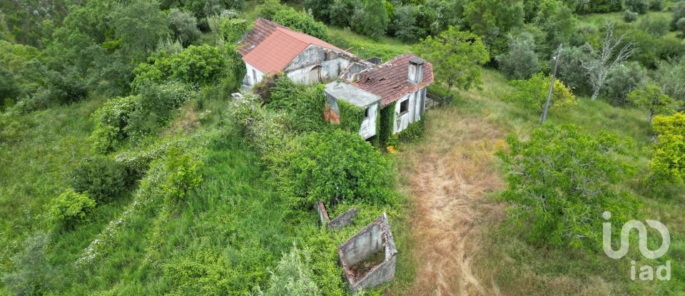Ferme T0 à São Miguel, Santa Eufémia e Rabaçal de 150 m²
