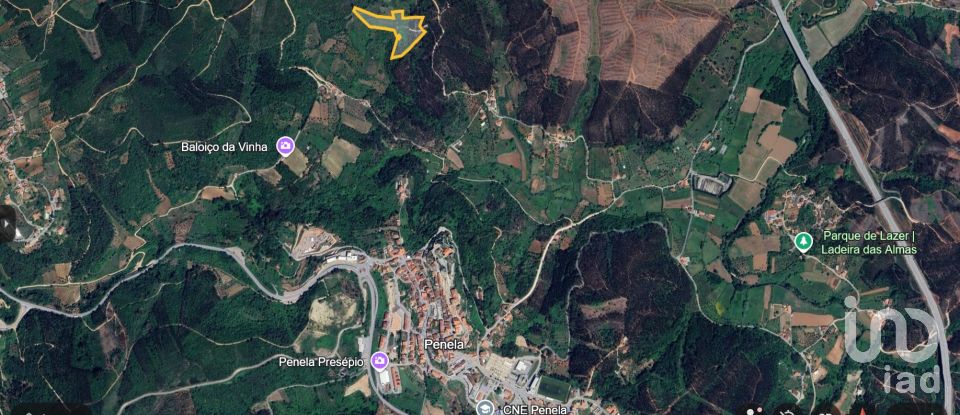 Ferme T0 à São Miguel, Santa Eufémia e Rabaçal de 150 m²