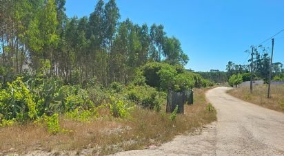 Terrain à Lourinhã e Atalaia de 2 120 m²
