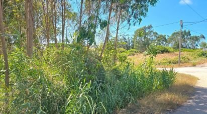 Terrain à Lourinhã e Atalaia de 2 120 m²