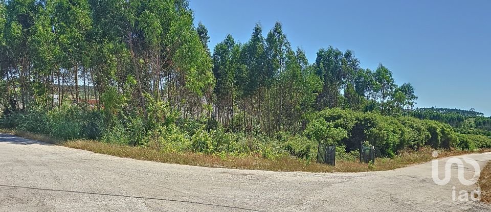 Land in Lourinhã e Atalaia of 2,120 m²