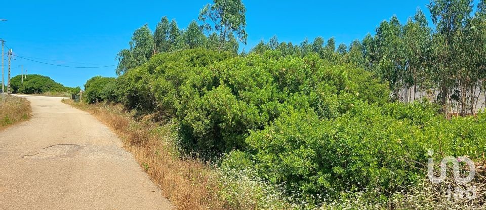 Land in Lourinhã e Atalaia of 2,120 m²