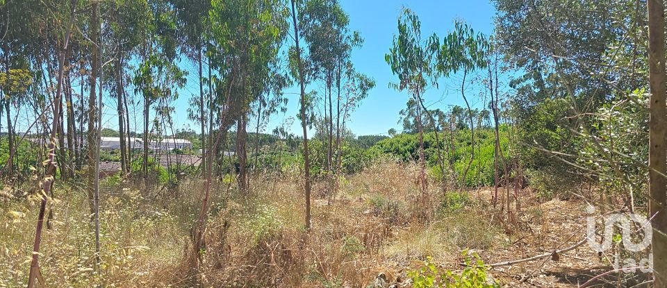 Land in Lourinhã e Atalaia of 2,120 m²