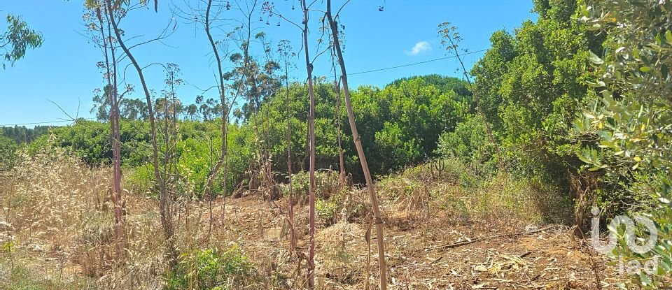 Land in Lourinhã e Atalaia of 2,120 m²