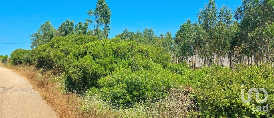 Land in Lourinhã e Atalaia of 2,120 m²