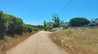 Terrain à Lourinhã e Atalaia de 2 120 m²