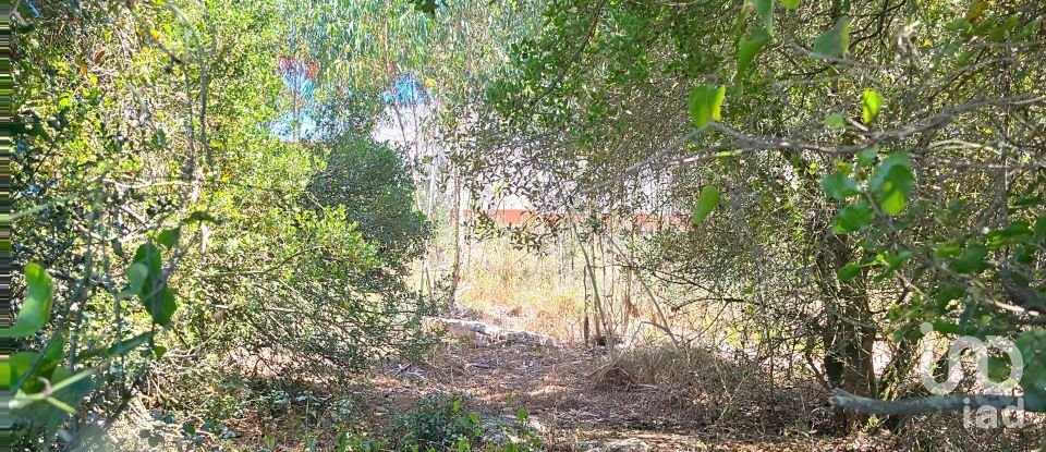 Land in Lourinhã e Atalaia of 2,120 m²