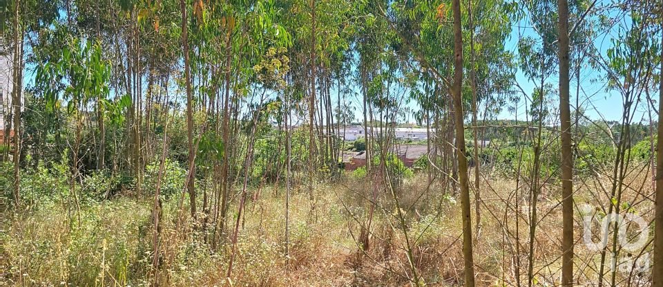 Land in Lourinhã e Atalaia of 2,120 m²