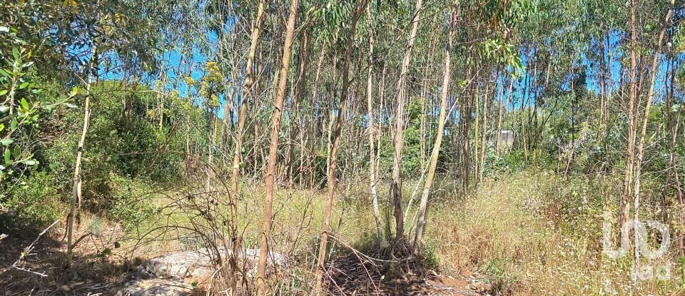 Land in Lourinhã e Atalaia of 2,120 m²