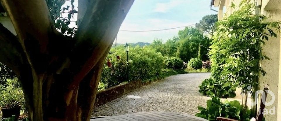 Moradia T4 em Ferreira de Aves de 360 m²