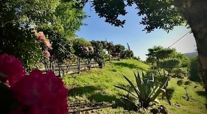 Maison T4 à Ferreira de Aves de 360 m²