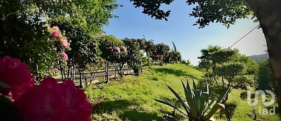 Moradia T4 em Ferreira de Aves de 360 m²