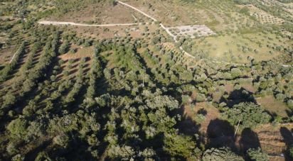 Terrain à Chãos de 4 800 m²