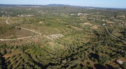 Land in Chãos of 4,800 m²