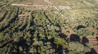 Terrain à Chãos de 4 800 m²