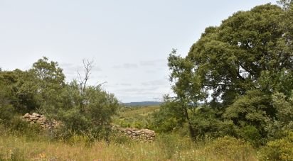 Terrain à Chãos de 4 800 m²