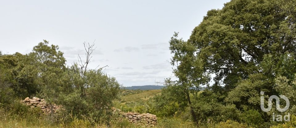 Terreno em Chãos de 4 800 m²