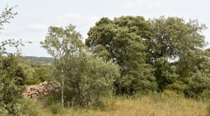 Terrain à Chãos de 4 800 m²