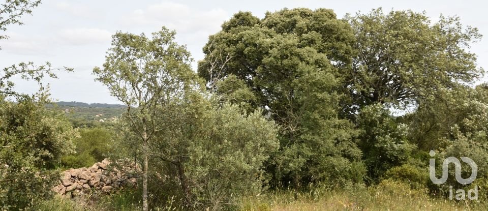 Terreno em Chãos de 4 800 m²