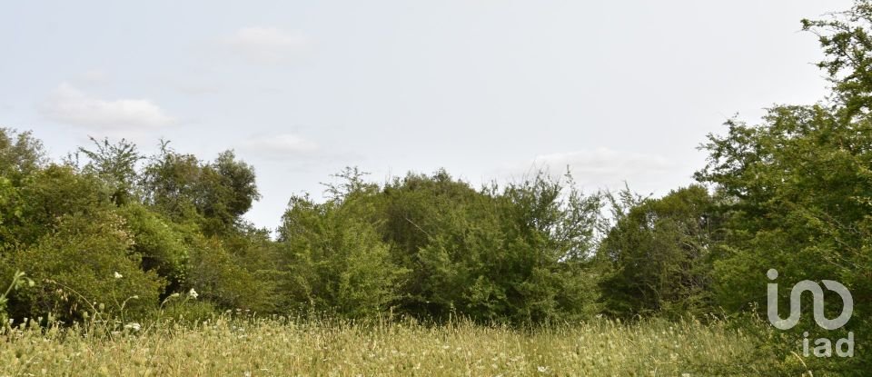 Terreno em Chãos de 4 800 m²