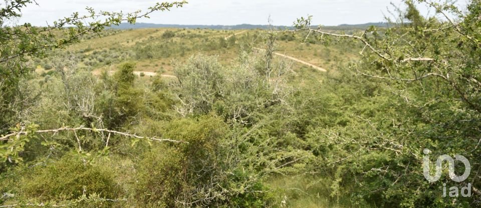 Terreno em Chãos de 4 800 m²