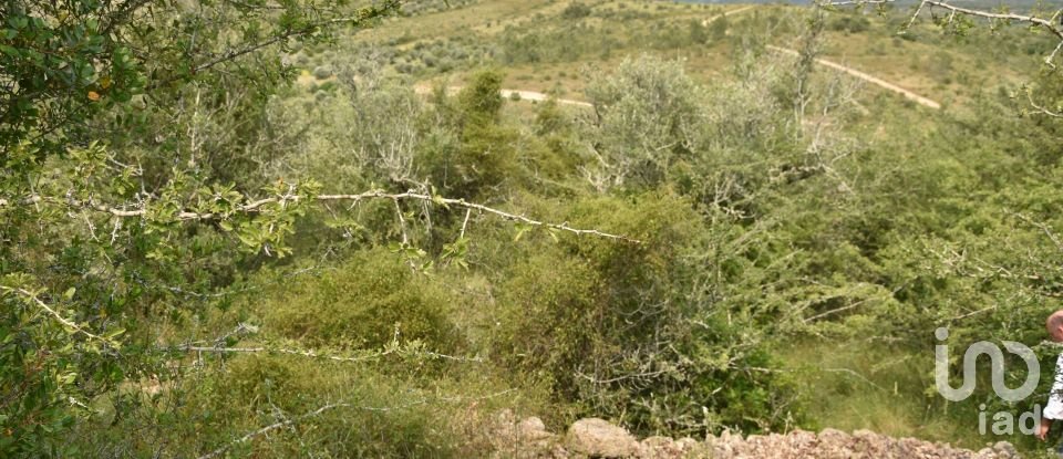 Terreno em Chãos de 4 800 m²