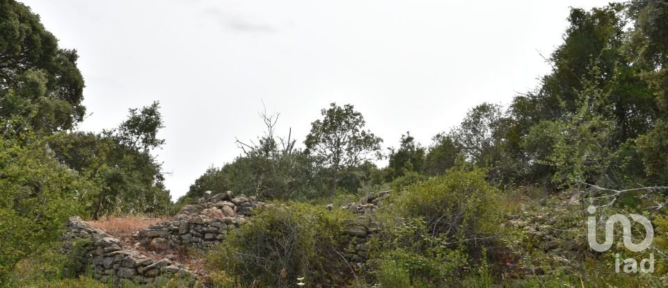 Terreno em Chãos de 4 800 m²