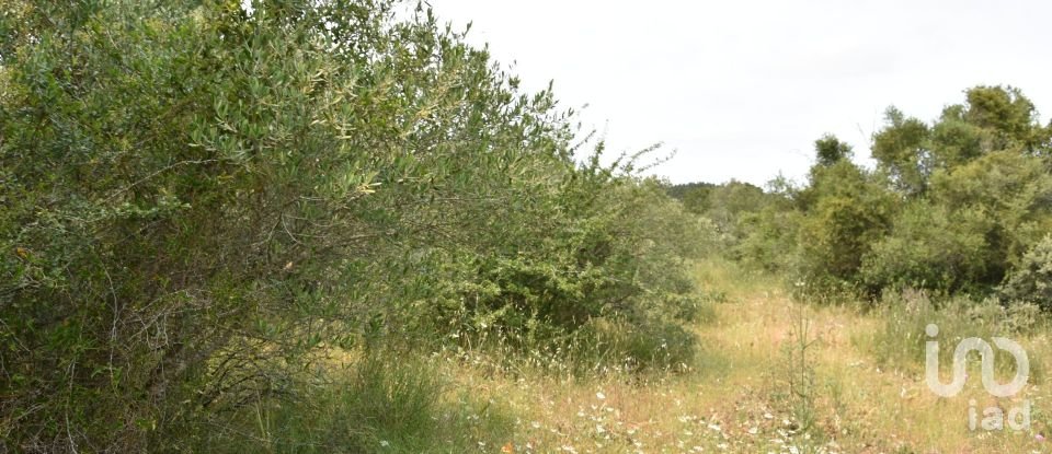 Terreno em Chãos de 4 800 m²