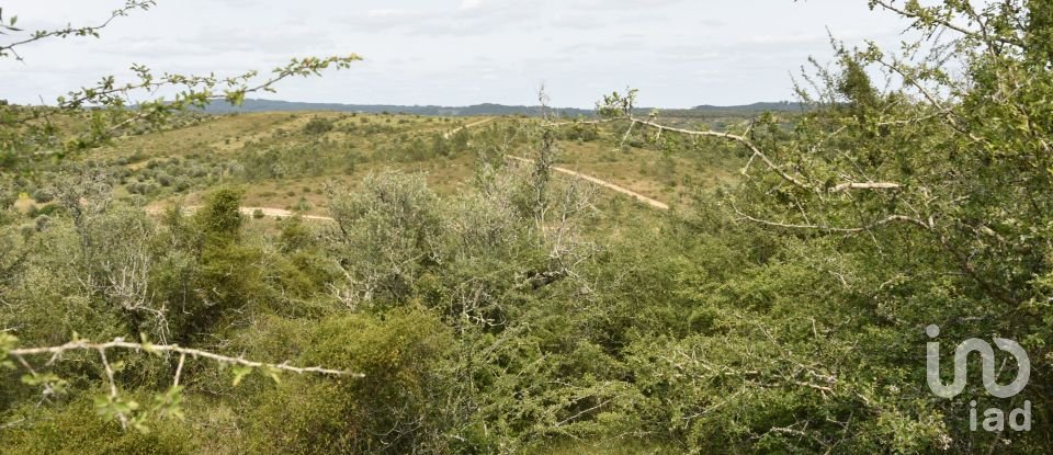Terreno em Chãos de 4 800 m²