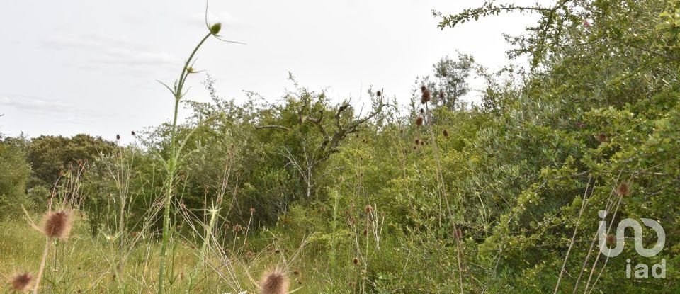 Terreno em Chãos de 4 800 m²