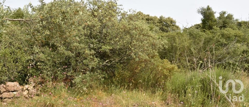 Terreno em Chãos de 4 800 m²