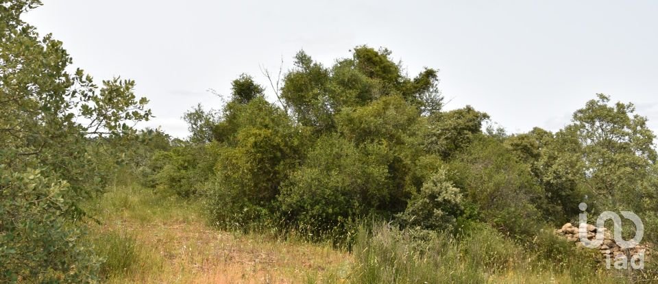 Terreno em Chãos de 4 800 m²