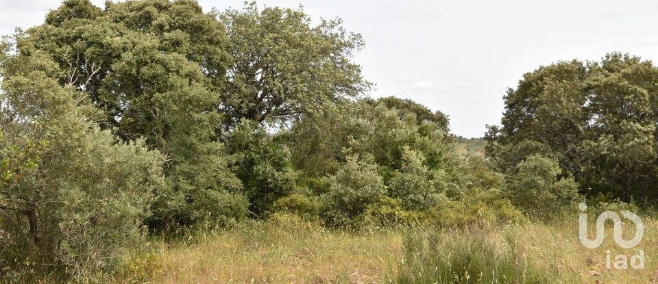 Terreno em Chãos de 4 800 m²