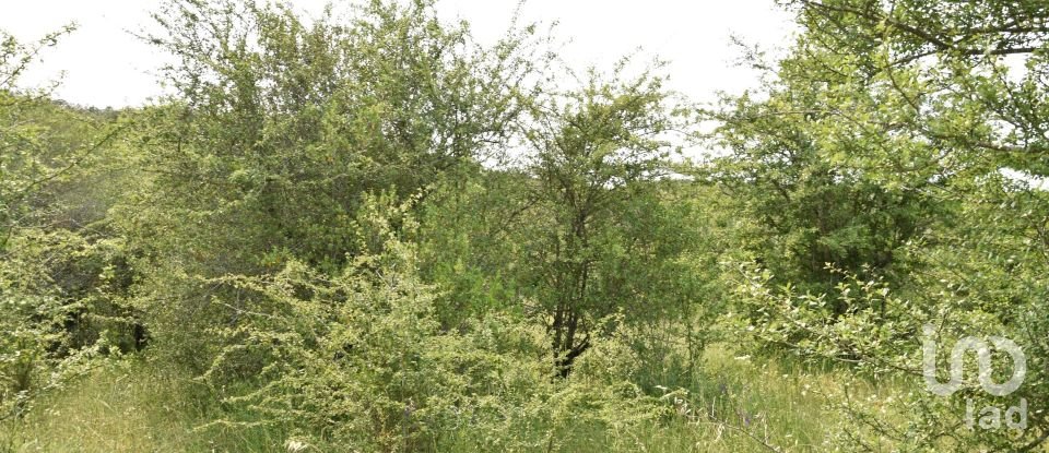 Terreno em Chãos de 4 800 m²